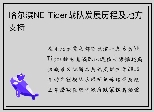 哈尔滨NE Tiger战队发展历程及地方支持